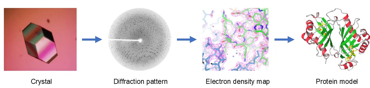 X-ray crystallography workflow